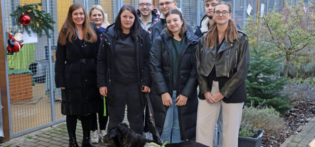 Merkur-Azubis helfen den Fellnasen mit ihrer Unterstützung des Tierheims: Darüber freuen sich Kristin Budde (von links), Janine Stierl (beide Ausbildungsabteilung), Sara Meinsen (Tierheim Lübbecke), Tom Beimfohr, Alexander Pflugfelder, Angelina Horn, Linus Wiegmann und Finja-Loreen Hoffmann. © Merkur Group