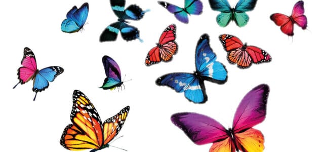 Geldspiel, © suns07butterfly –  stock.adobe.com