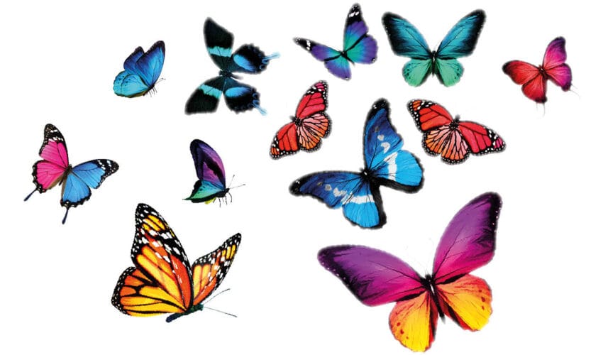 Geldspiel, © suns07butterfly – stock.adobe.com